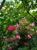DSCN9927