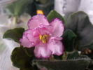 Photo0674