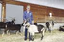 Miss capra Paun castigatoare