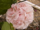 P1280550