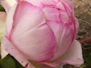 P1280555