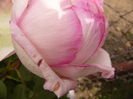 P1280558