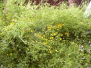 P1280588