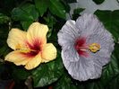 20160529_201128