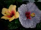 20160529_201203