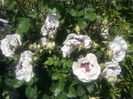 IMG_20160528_122920