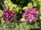 IMG_20160528_122935