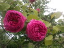 IMG_20160528_151445