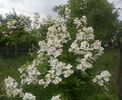 IMG_20160528_151522-1