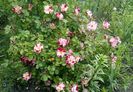 IMG_20160527_175024-1