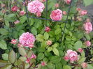 IMG_20160527_175640