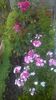 WP_20160528_07_20_34_Pro