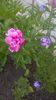 WP_20160529_08_45_15_Pro
