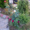 IMG_20160528_200730