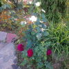 IMG_20160528_200812