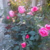 IMG_20160528_200827