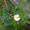 IMG_20160529_093438