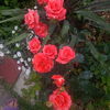 IMG_20160529_163114
