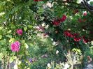 20160527_184154