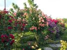 20160527_184216