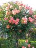 20160527_184240