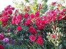 20160527_184313
