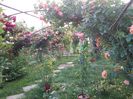 20160527_184541