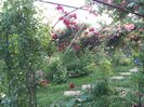 20160527_184619