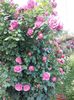 20160527_184745