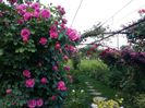 20160527_184819