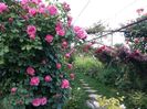 20160527_184831