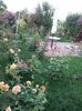 20160527_184932