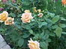 20160527_185003