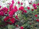 20160527_185116