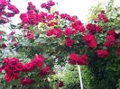 20160527_185133