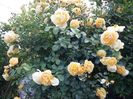 20160527_185307