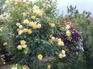 20160527_185327