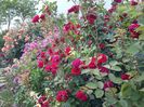 20160527_185442