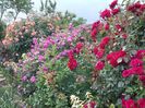 20160527_185456