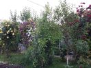 20160527_185607