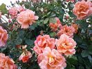 20160527_185650