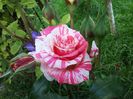 20160527_185803