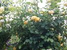 20160527_185826