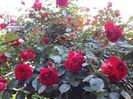 20160527_185906
