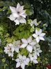 20160527_185958