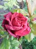20160527_190157