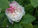 20160527_190408