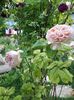 20160527_190523