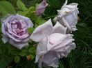 20160527_190629