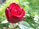 20160527_190657